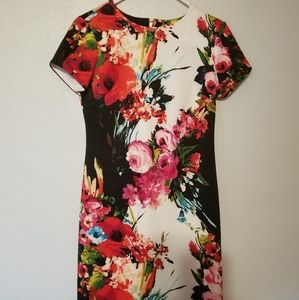 Sandra Darren Floral Sheath Dress